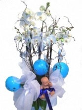 5 Dal Orkide5 dal phalaenopsis orkidenin beyaz metal kapta erkek bebek do�umu i�in tasar�m�,istanbul �i�ek�i