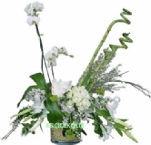 �ok �zel�zel cam vazoda phalaenopsis orkide, bambu ve lilyumlarla �ok �zel ki�ilere �zel bir tasar�m