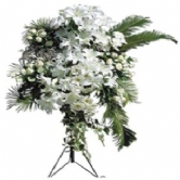 Beyaz FerforjeBeyaz lilyumlar ve beyaz mevsim �i�eklerinden haz�rlanan 160cm boyunda g�steri�li ve sade bir tasar�m. D���n �i�ekleri,nikah i�in �i�ek sipari�i,ni�anta�� �i�ek�i,a��l�� �i�e�i