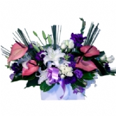 Antor�um ve Lilyum
