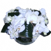 Phaelanopsis ve G�lAkvaryum vazoda beyaz orkideler ve beyaz g�llerden �zel ve ��k bir tasar�m