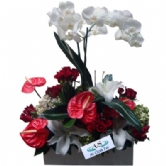 Vip �i�ek