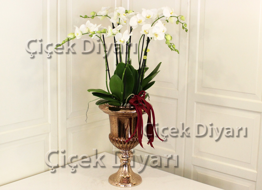 Copper Glass