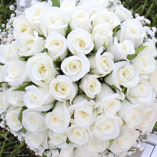 Beyaz Güller
