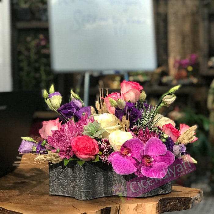 Yeni Bebek Çiçekleri, Yeni Bebek Çiçeği Çiçek Diyarı