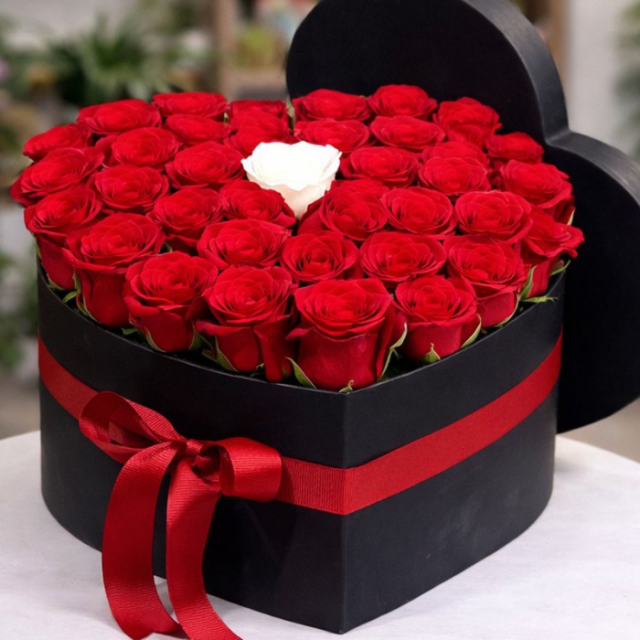 Kalbimin Tek Sahibi..