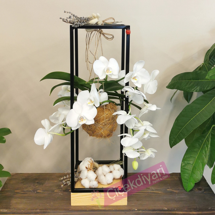 Satin Al Yapay Sarmasik Cicekler Ipek Cicek Wisteria Vine Cicek Rattan Dugun Centerpieces Suslemeleri Buket Celenk Ev Susleme Icin Tl9 67 Dhgate Comda