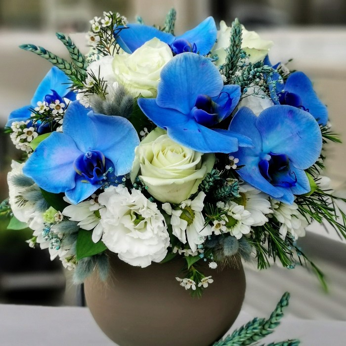 Mavi Orkide ve Güller