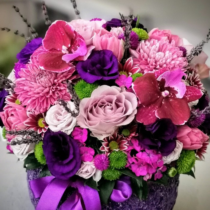 Boğaziçi Serisi Mor