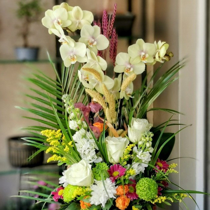 Boğaziçi Little Lemon