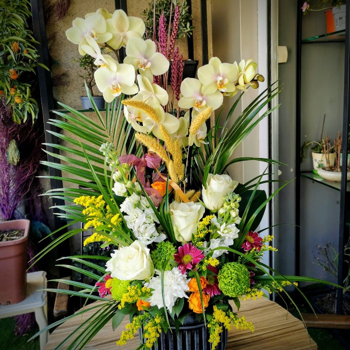 Boğaziçi Little Lemon