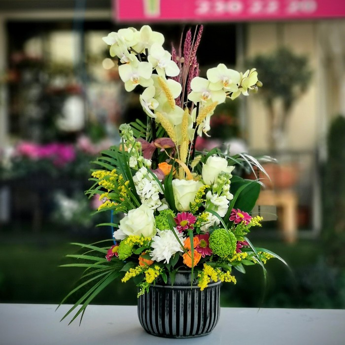 Boğaziçi Little Lemon