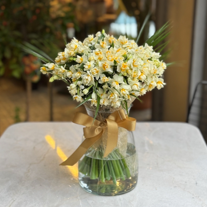 Mis Kokulu Nergisler