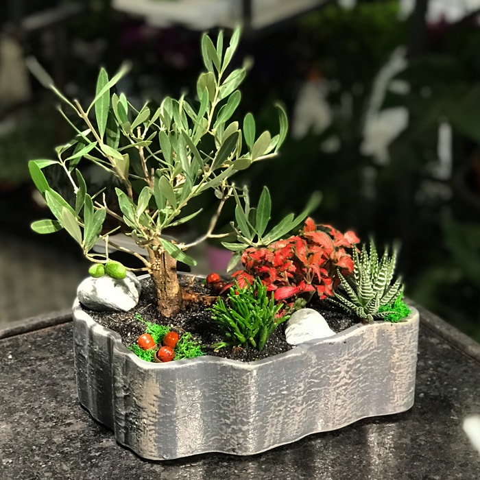 Zeytin Bahçesi çiçekçi, Zeytin Bahçesi çiçek gönder