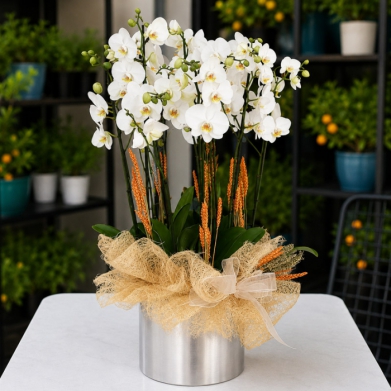 10 Dall� Beyaz Orkide | Metal Saks�da Premium Phalaenopsis | cicekdiyari.com
