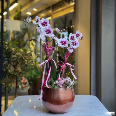 �zel Koleksiyon Miraflore