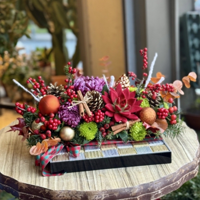 Valonia �ikolatal� sukulentli y�lba�� masa aranjman�