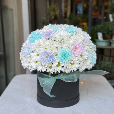 G�kku�a�� papatya kutusu