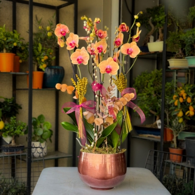 �zel Koleksiyon Golden Leopard