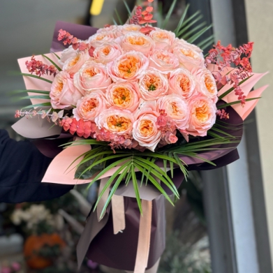 Juliet Garden Rose