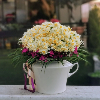 Minai Serisi Nergis iei 