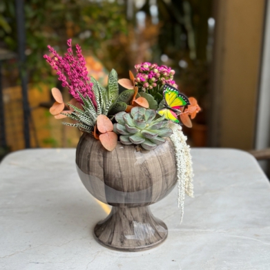 Kelebe�in R�yas�