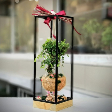 Bonsai Kokedama