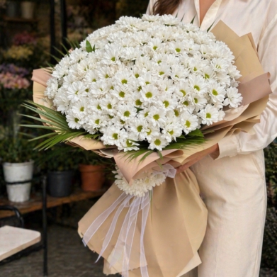 Kucak Dolusu Papatya