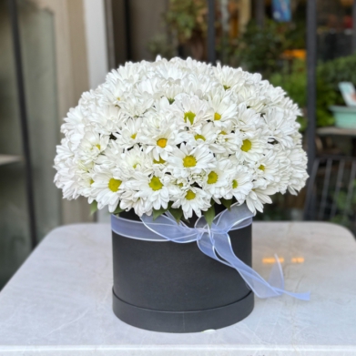 Kutuda Beyaz Papatya Aranjman� � Modern ve ��k �i�ek Tasar�m�