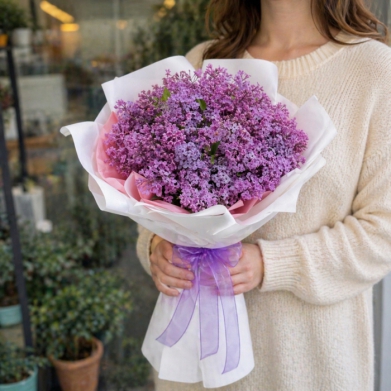 Mis Kokulu Leylaklar