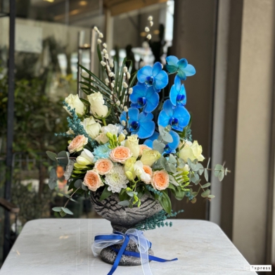 K���kyal� �i�ek tasar�m