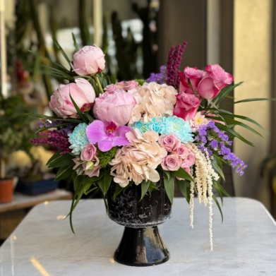 Serencebey �akay�klar