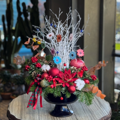 Y�lba�� Dilek A�ac� & K�rm�z� Y�lba�� Aranjman�